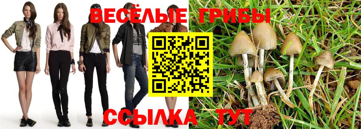 Псилоцибиновые грибы мицелий  Вход с VPN  Азов 